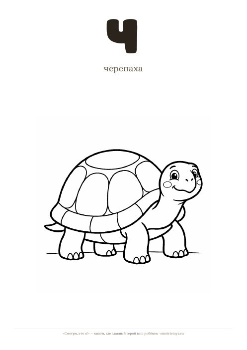 Лист «Буква Ч — черепаха» для печати
